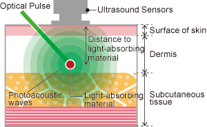 microscope2